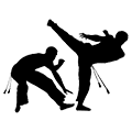 capoeira-core Capoeira is playful and serious at the same time